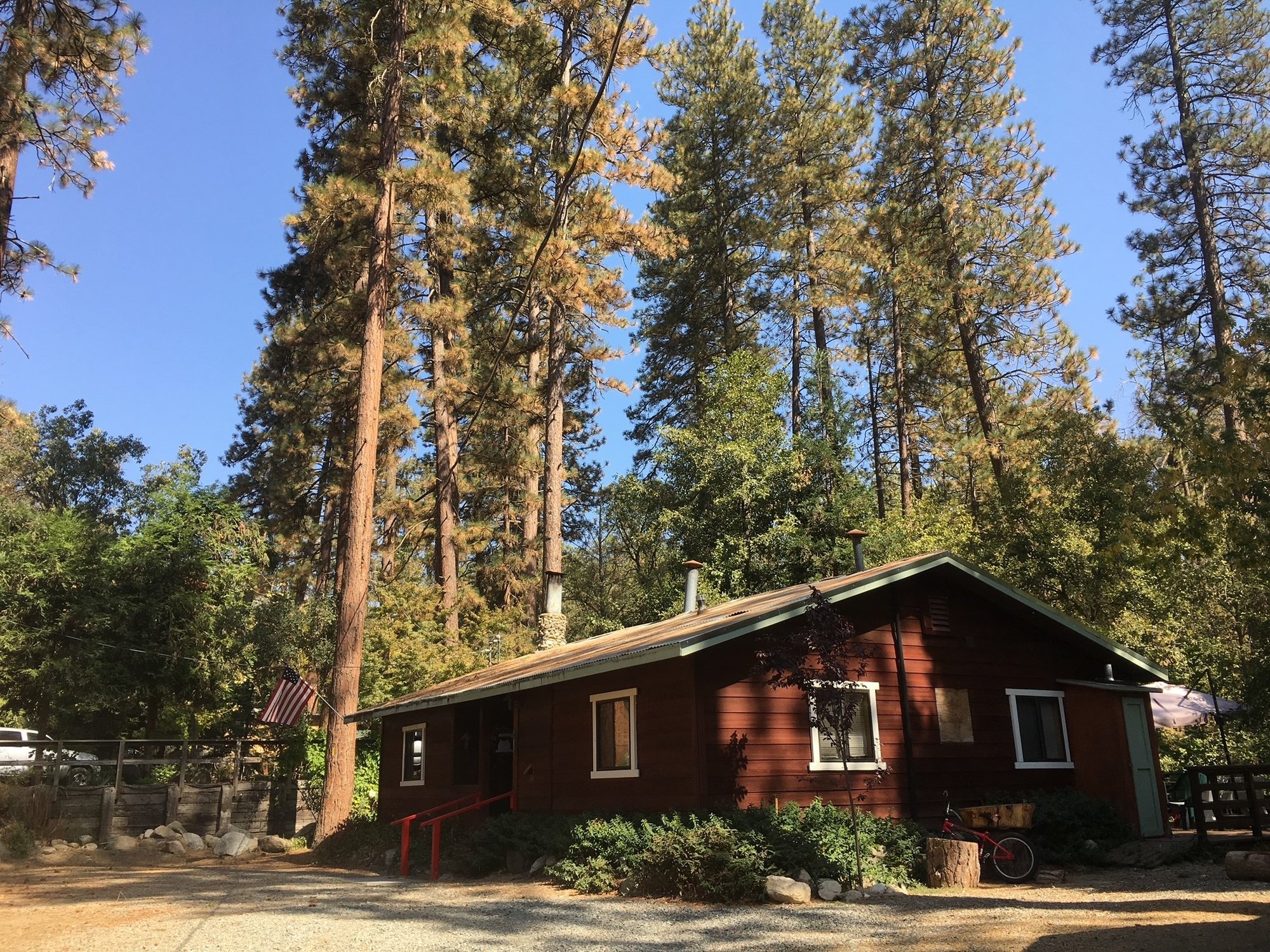 Rustic cabin among the pines